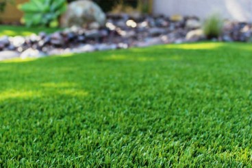 Artifical Grass