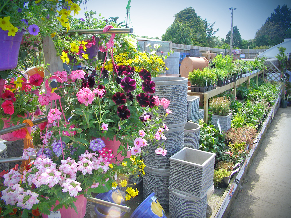 Garden-Centre-2015-4