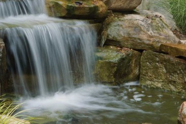 Ponds & Waterfalls