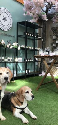 Thornbush Hill Candles